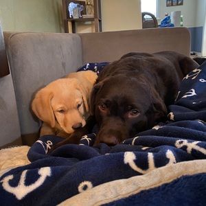 Meet your Posher, Sandra